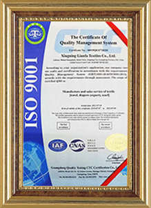 ISO 9001